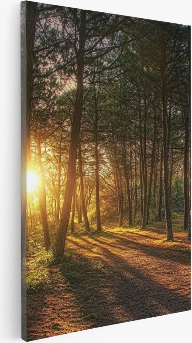 Saammp Canvas Schilderij - Natuur - Zonsondergang - Landschap - 80x120 - Foto op canvas - Wanddecoratie - Muurdecoratie Woonkamer - Slaapkamer decoratie - Canvas Print Multicolor
