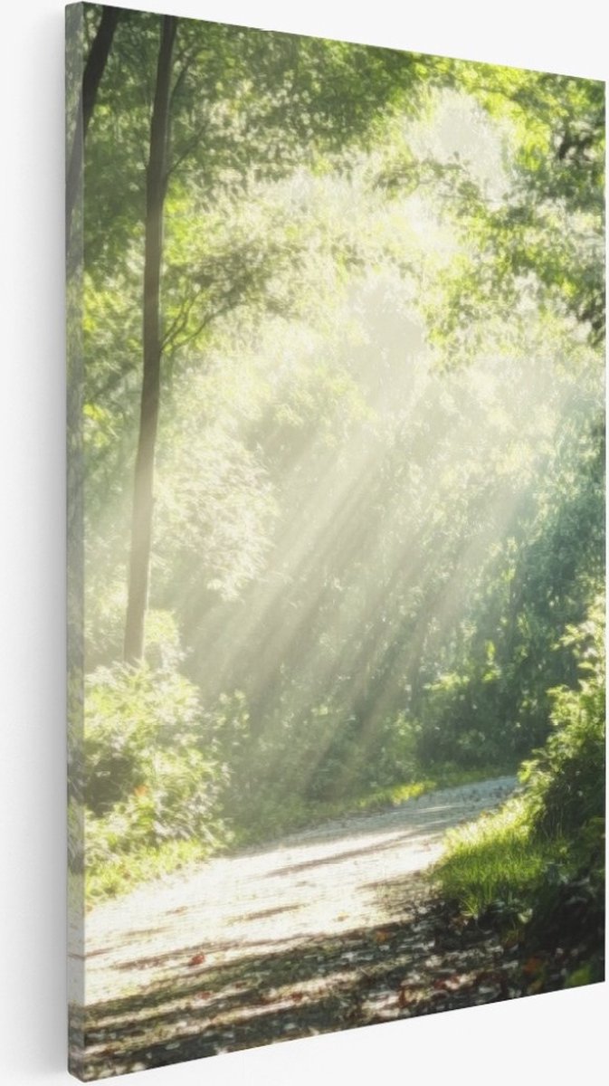 Saammp Canvas Schilderij - Bos - Bomen - Pad - Natuur - Landschap - 20x30 - Foto op canvas - Wanddecoratie - Muurdecoratie Woonkamer - Slaapkamer decoratie - Canvas Print Multicolor