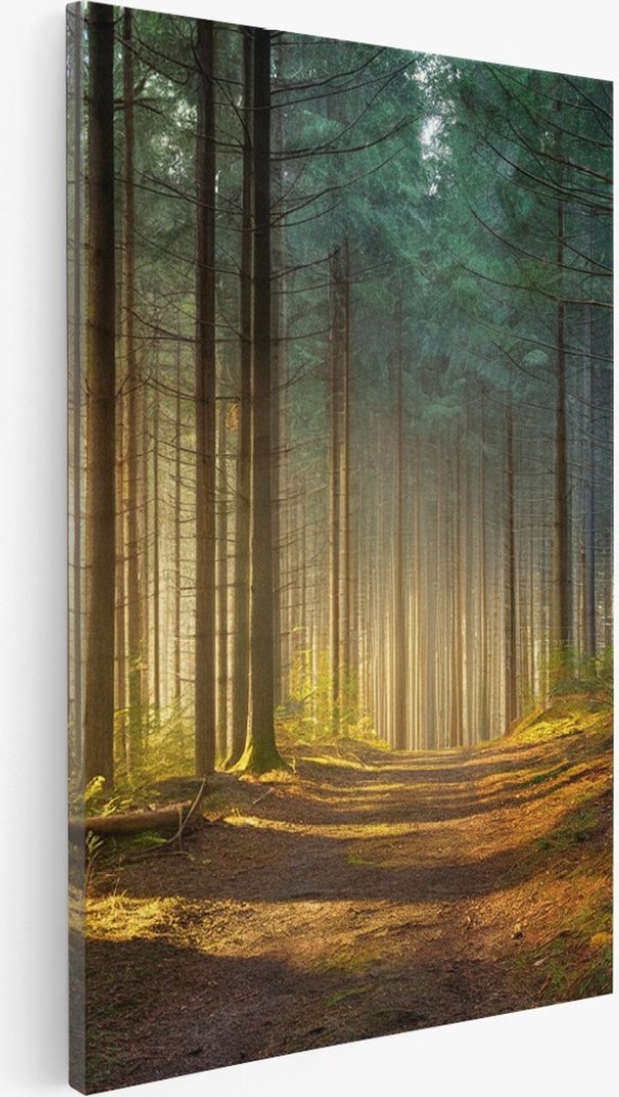 Saammp Canvas Schilderij - Bospad tussen de bomen - Landschap - Natuur - 30x40 - Foto op canvas - Wanddecoratie - Muurdecoratie Woonkamer - Slaapkamer decoratie - Canvas Print Multicolor