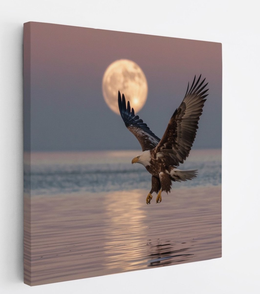 Saammp Canvas Schilderij - Zeearend met volle maan - Dieren - Bloemen - 60x60 - Foto op canvas - Wanddecoratie - muurdecoratie Woonkamer - Slaapkamer decoratie - Canvas Print Multicolor
