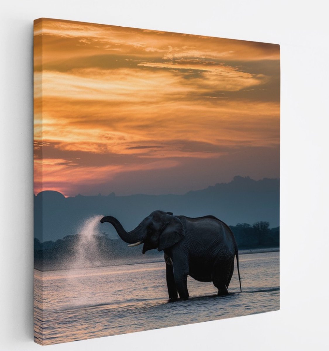 Saammp Canvas Schilderij - Olifanten in het water - Afrika - Dieren - 20x20 - Foto op canvas - Wanddecoratie - muurdecoratie Woonkamer - Slaapkamer decoratie - Canvas Print Multicolor