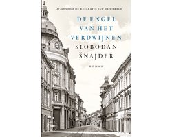 Omslag van De engel van het verdwijnen