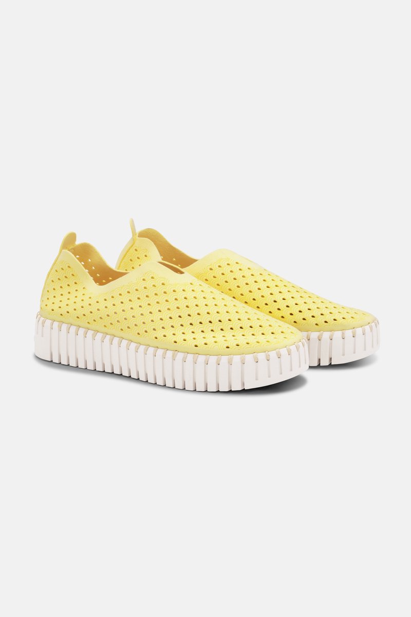 Instappers Platform TULIP3373 - 806 Lemon Drop
