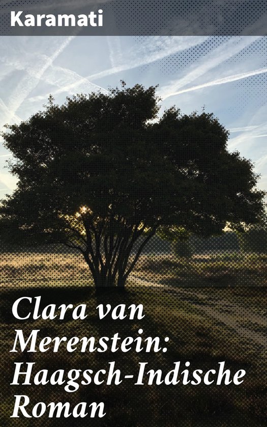Clara van Merenstein: Haagsch-Indische Roman - cover