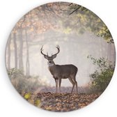Saammp Muurcirkel Hout - Hert in het bos - Natuur - Dieren - Ø 60 - Wandcirkel - Wanddecoratie Cirkel - Muurdecoratie Woonkamer - Slaapkamer decoratie - Rond Schilderij