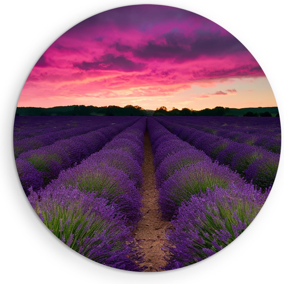 Saammp Muurcirkel Hout - Lavendel met paarse lucht - Landschap - Natuur - Ø 80 - Wandcirkel - Wanddecoratie Cirkel - Muurdecoratie Woonkamer - Slaapkamer decoratie - Rond Schilderij