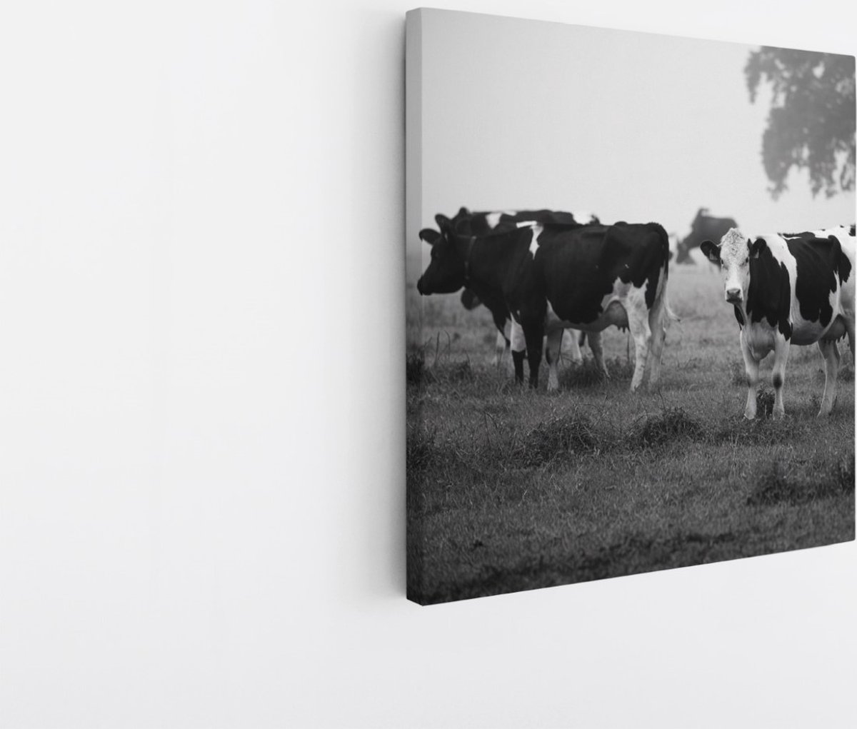 Saammp Canvas Schilderij - Koeien in wei - Natuur - Dieren - 30x30 - Foto op canvas - Wanddecoratie - Muurdecoratie Woonkamer - Slaapkamer decoratie - Canvas Print Multicolor