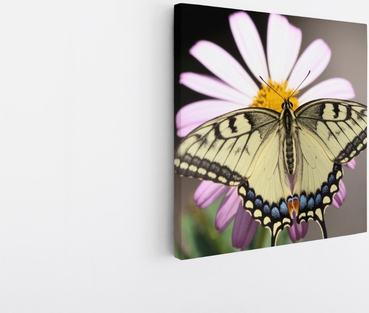 Saammp Canvas Schilderij - Vlinder op grote roze bloem - Natuur - Dieren - 60x60 - Foto op canvas - Wanddecoratie - Muurdecoratie Woonkamer - Slaapkamer decoratie - Canvas Print Multicolor
