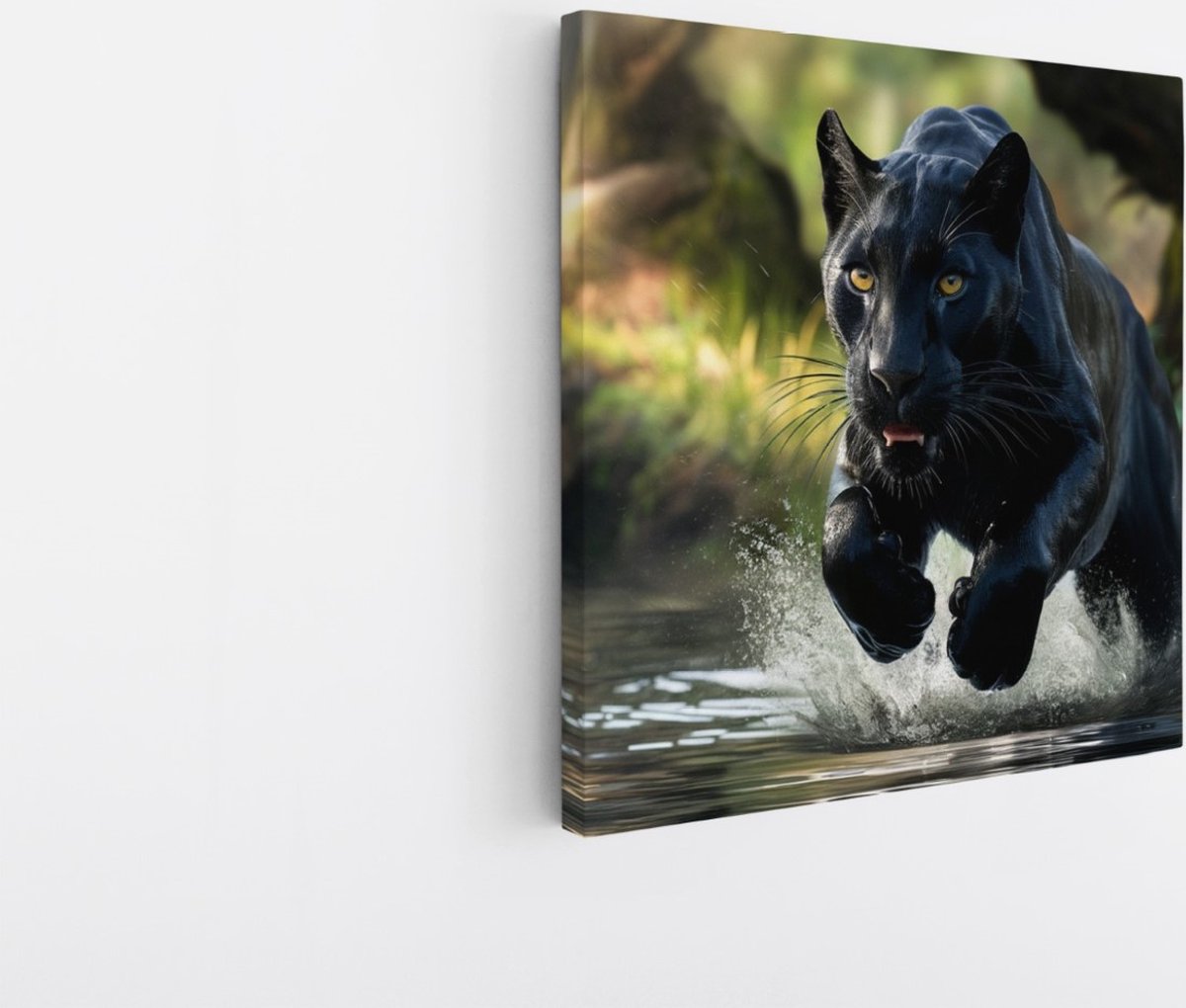 Saammp Canvas Schilderij - Zwarte Panter in het water - Natuur - Dieren - 40x40 - Foto op canvas - Wanddecoratie - Muurdecoratie Woonkamer - Slaapkamer decoratie - Canvas Print Multicolor