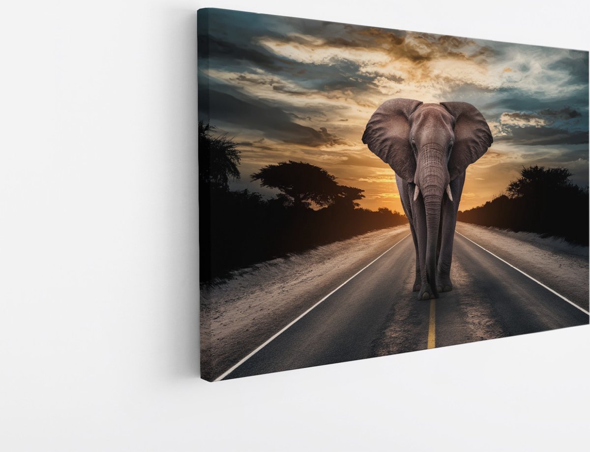 Saammp Canvas Schilderij - olifant op de weg - Afrika - Dieren - 40x30 - Foto op canvas - Wanddecoratie - muurdecoratie Woonkamer - Slaapkamer decoratie - Canvas Print Multicolor