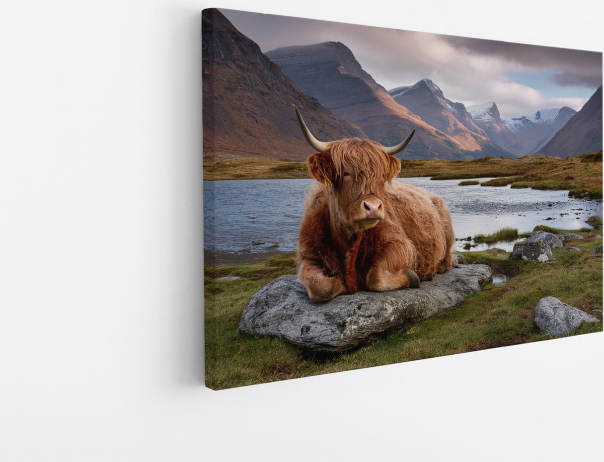Saammp Canvas Schilderij - Schotse Hooglander Koe op steen - Natuur - Dieren - 100x75 - Foto op canvas - Wanddecoratie - Muurdecoratie Woonkamer - Slaapkamer decoratie - Canvas Print Multicolor