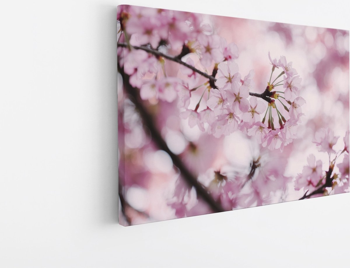 Saammp Canvas Schilderij - Bloesemtakken met roze bloemen - Natuur - Abstract - 50x40 - Foto op canvas - Wanddecoratie - Muurdecoratie Woonkamer - Kantoor Decoratie Multicolor