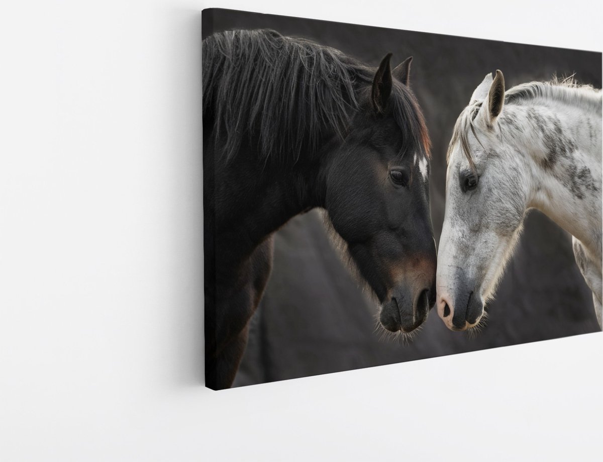 Saammp Canvas Schilderij - 2 Paarden - Liefdevol - Dieren - Natuur - 70x50 - Foto op canvas - Wanddecoratie - muurdecoratie Woonkamer - Slaapkamer decoratie - Canvas Print Multicolor