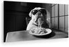 Bulldog
