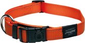 Rogz For Dogs Lumberjack Halsband - Oranje - 25 mm x 43-73 cm