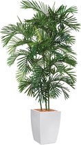 HTT - Kunstplant Areca palm in Genesis vierkant wit H200 cm