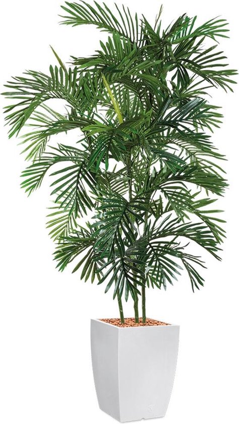 HTT - Kunstplant Areca palm in Genesis vierkant wit H200 cm