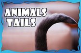 Animals Tails