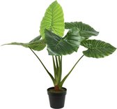 Groene Colocasia/taro kunstplant 90 cm in zwarte pot - Kunstplanten/nepplanten