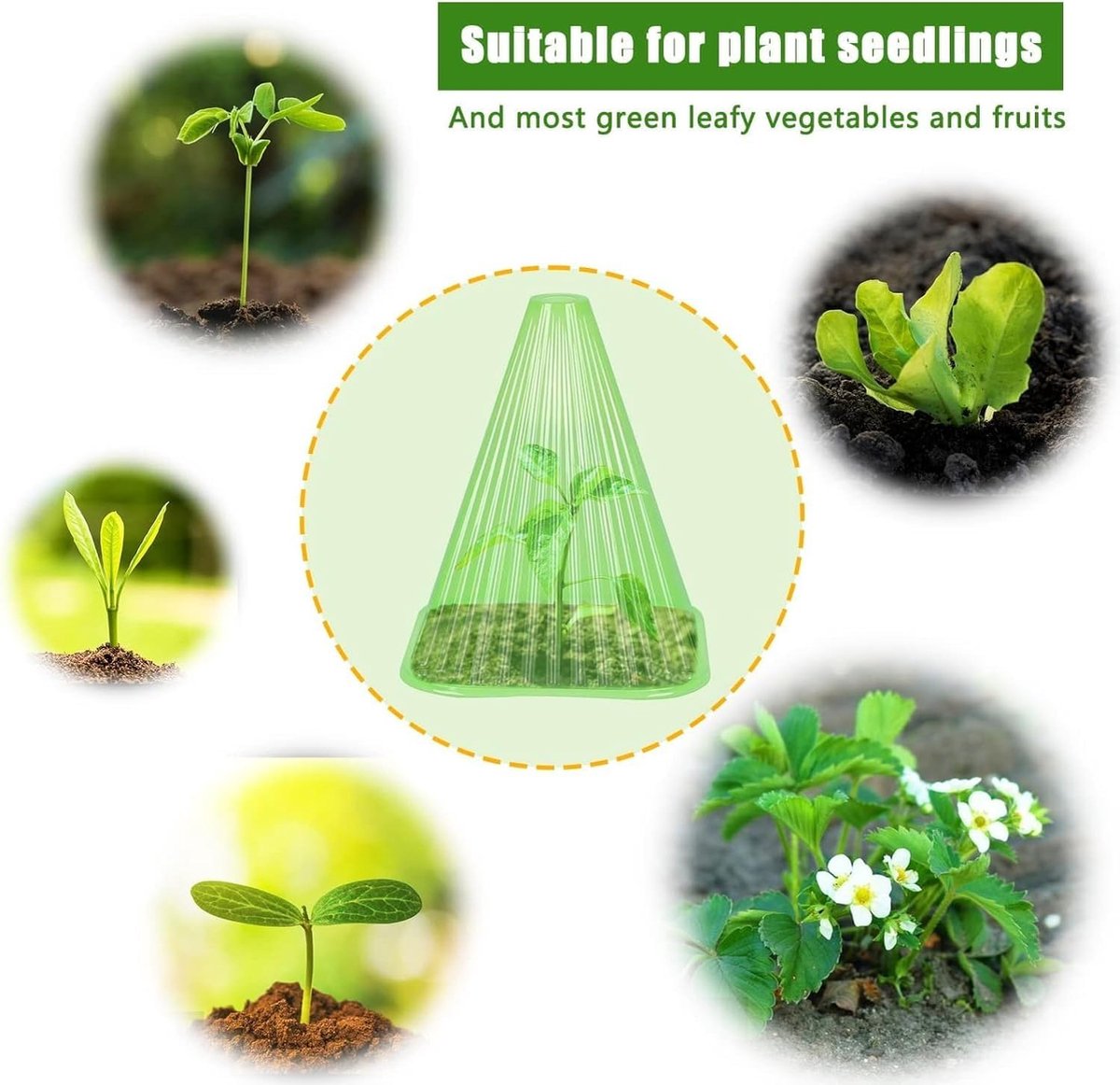 Cloches De Protection Pour Jardin 20 Transparentes EROOSY - Protection Plantes 19x19x18cm Anti-gel Et Parasites Cloches De Jardin