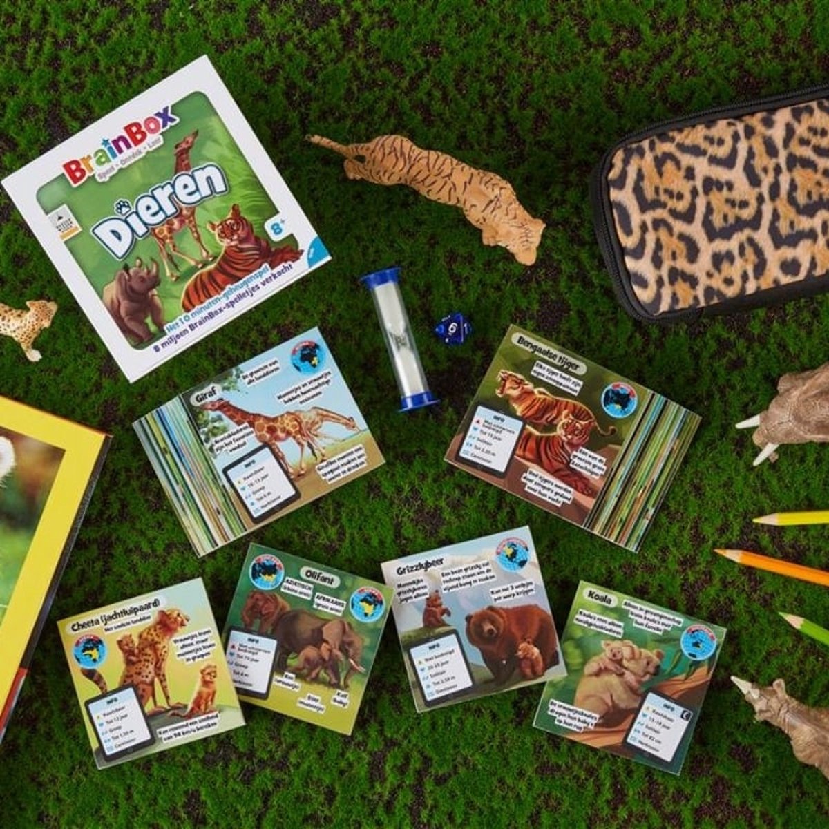 BrainBox Dieren - Bordspel — afbeelding 4
