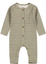 Dirkje Boxpak Light Faded Green 50
