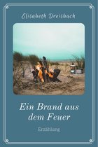 Ein Brand aus dem Feuer