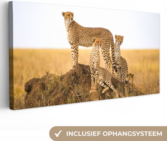 Toile - Cheetah - Herbe - Nature - Décoration murale - 80x40 cm - Peintures sur toile - Peinture sur toile