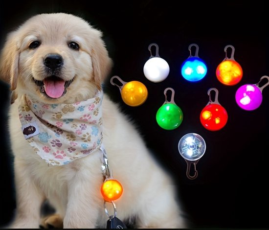 Bovista Collier Lumineux - Collier Lumineux - Lumineux - Chien - Chat - Lumineux - Collier pour Chien LED - Clip-On - Blauw