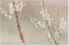 Bloemen - Beige