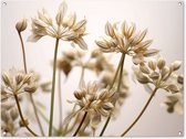 Tuinposter 120x90 cm - Tuindecoratie Droogbloemen - Beige - Wit - Planten - Poster voor in de tuin - Buiten decoratie - Schutting tuinschilderij - Tuindoek muurdecoratie - Wanddecoratie balkondoek