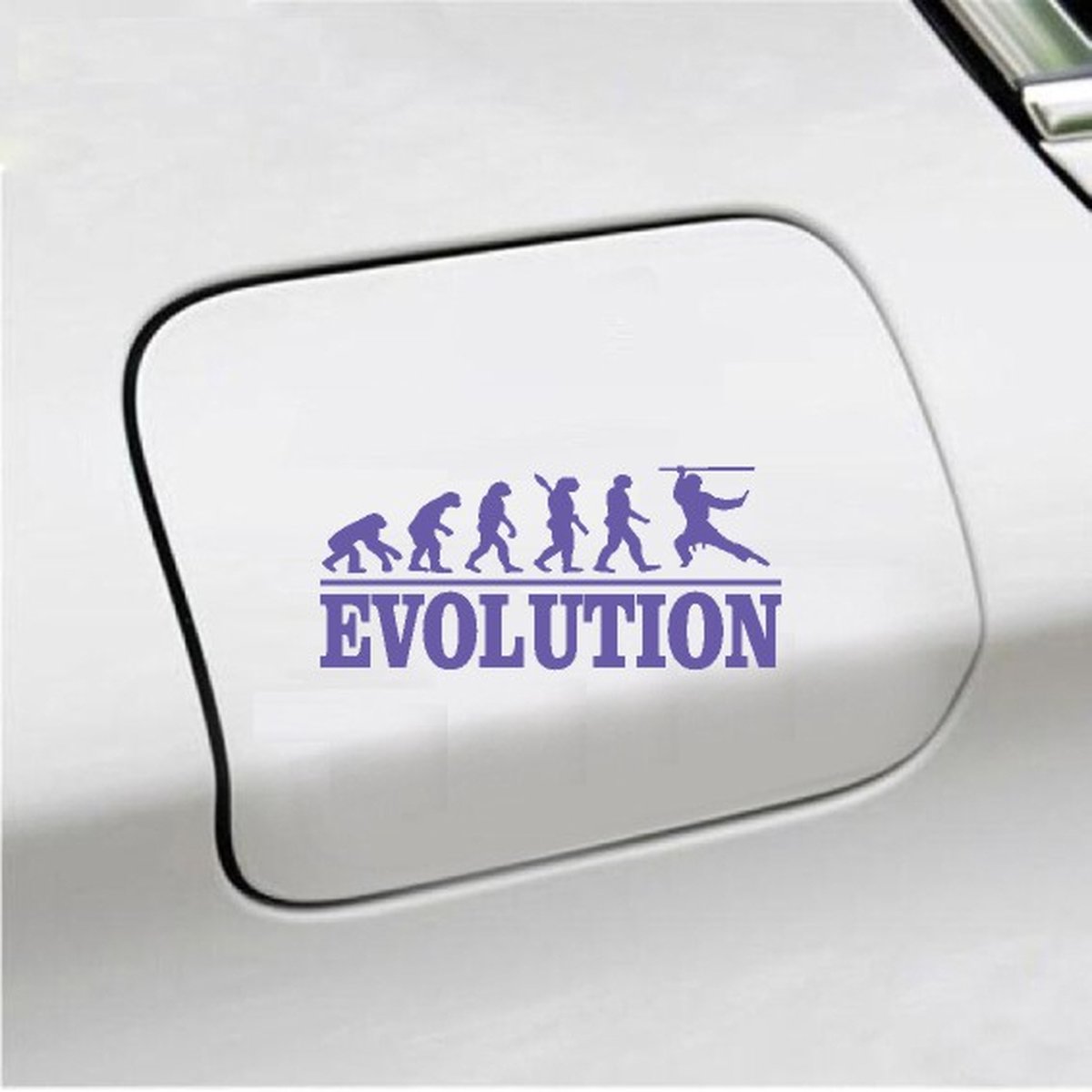 Bumpersticker - Evolution Ninja - 20x9.3 - Paars