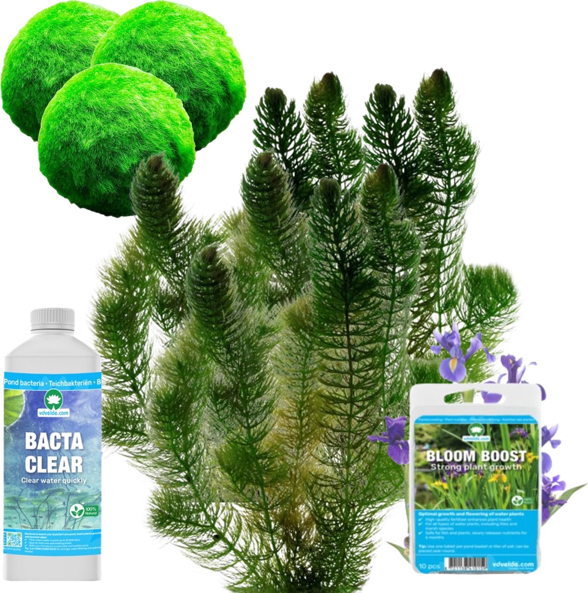 Vdvelde.com Vijverplanten Voeding Pakket XL Voor 3.500 6.000 L Vijverplanten voeding en bacterien Plaatsing: -1 tot -100 cm