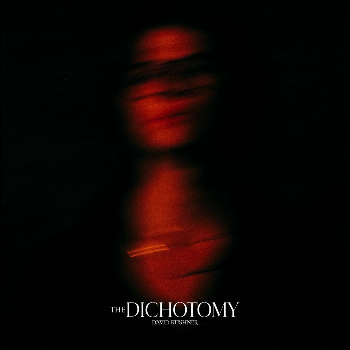 David Kushner - The Dichotomy (2 LP)