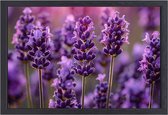 Lavendel wanddecoratie - Bloem wanddecoratie - Schilderijen canvas Stam - Landelijke schilderijen - Canvas schilderijen met baklijst - Muurdecoratie canvas met baklijst 70x50 cm