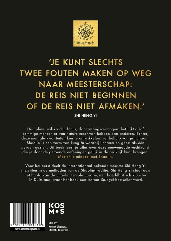 Boekomslag met tekst in het geel en wit, inclusief 'Je kunt slechts twee fouten maken op weg naar meesterschap' en 'Shi Heng Yi'.