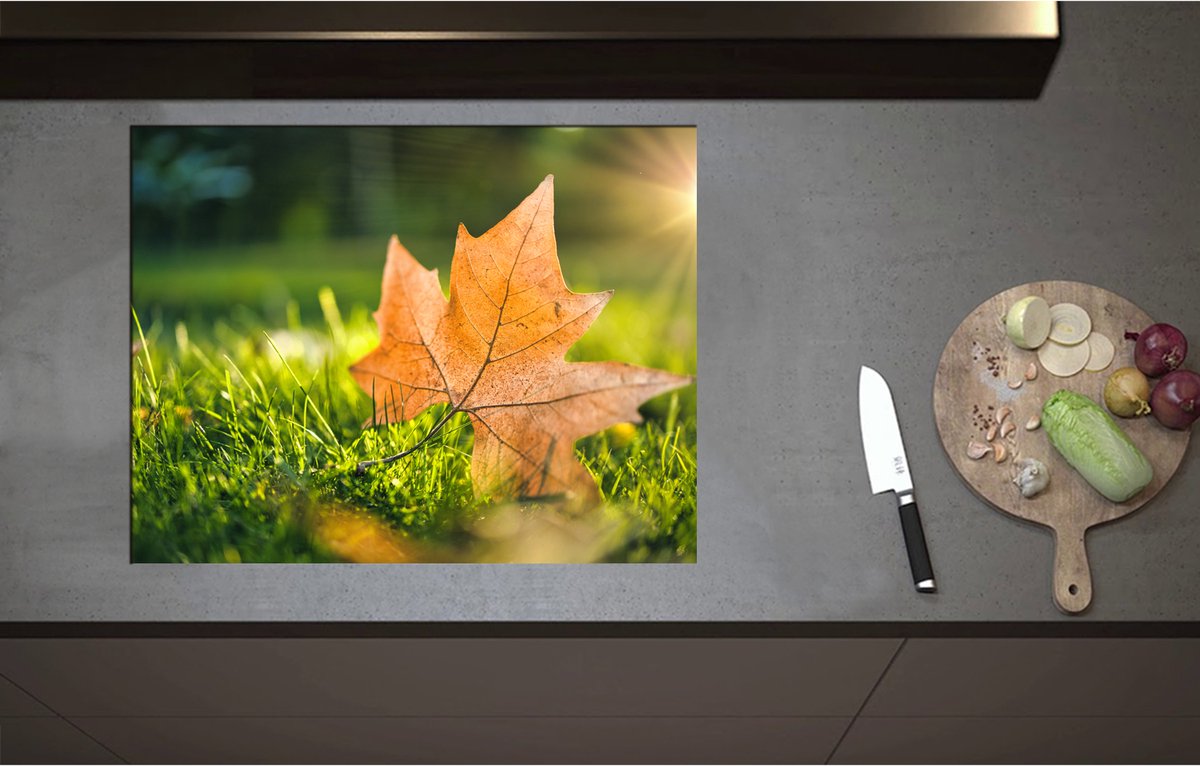 Inductieplaat Beschermer - Bruin Herfstblad op Groen Gras met Zonnestraal - 71x55 cm - 2 mm Dik - Inductie Beschermer - Bescherming Inductiekookplaat - Kookplaat Beschermer van Zwart Vinyl