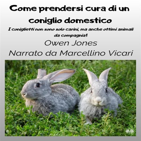 Come Prendersi Cura Di Un Coniglio Domestico - cover