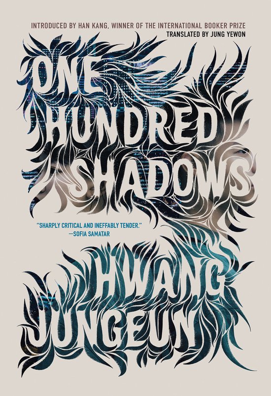 One Hundred Shadows - cover