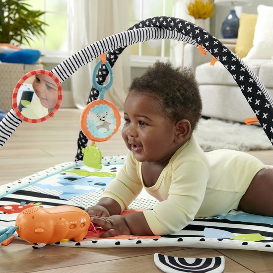 Fisher-Price Baby Muziek Gym 3 in 1 - Pasgeboren baby speelgoed van Fisher Price — afbeelding 2