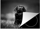KitchenYeah® Inductie beschermer 65x52 cm - Een zwarte Labrador Retriever die omhoog kijkt - zwart wit - Kookplaataccessoires - Afdekplaat voor kookplaat - Inductiebeschermer - Inductiemat - Inductieplaat mat