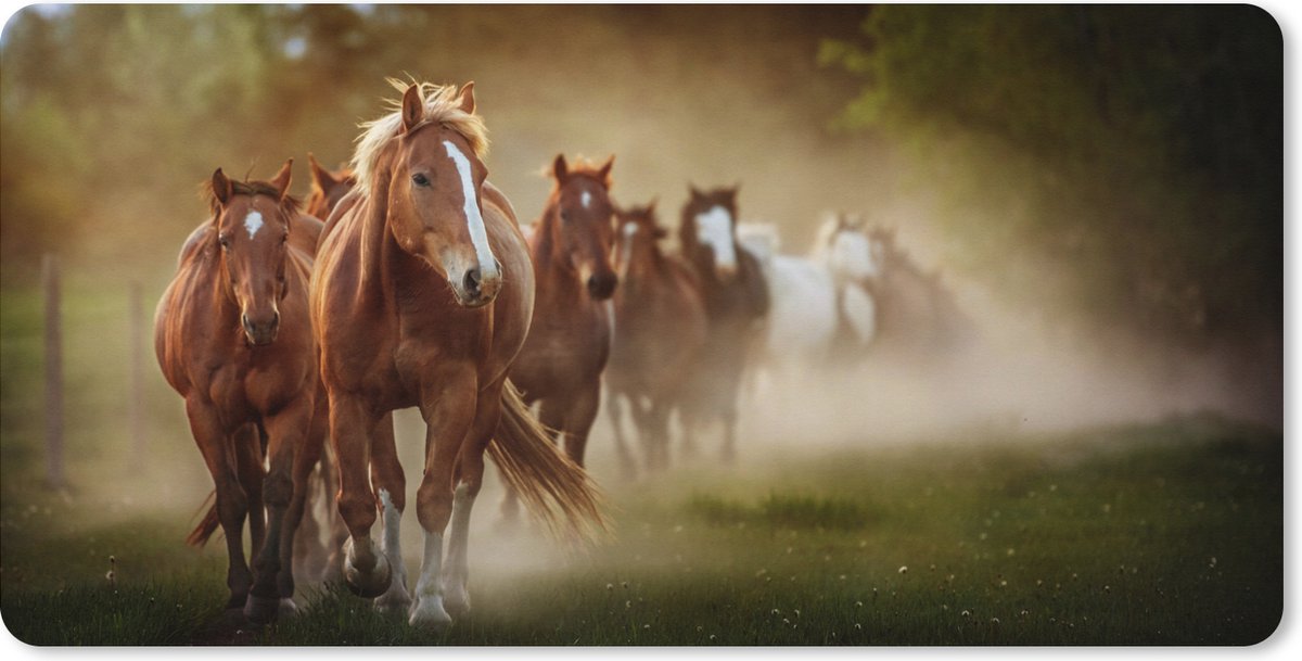 Muismat XXL 80x40 cm - Bureau onderlegger - Bureau mat Paarden - Licht - Natuur - Bureaumat - Gaming mousepad xl - Bureaulegger groot - Computer deskmat