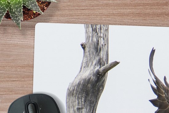 Muismat XXL 90x60 cm - Bureau onderlegger - Bureau mat Amerika - Vogel - Zeearend - Bureaumat - Gaming mousepad xl - Bureaulegger groot - Computer deskmat