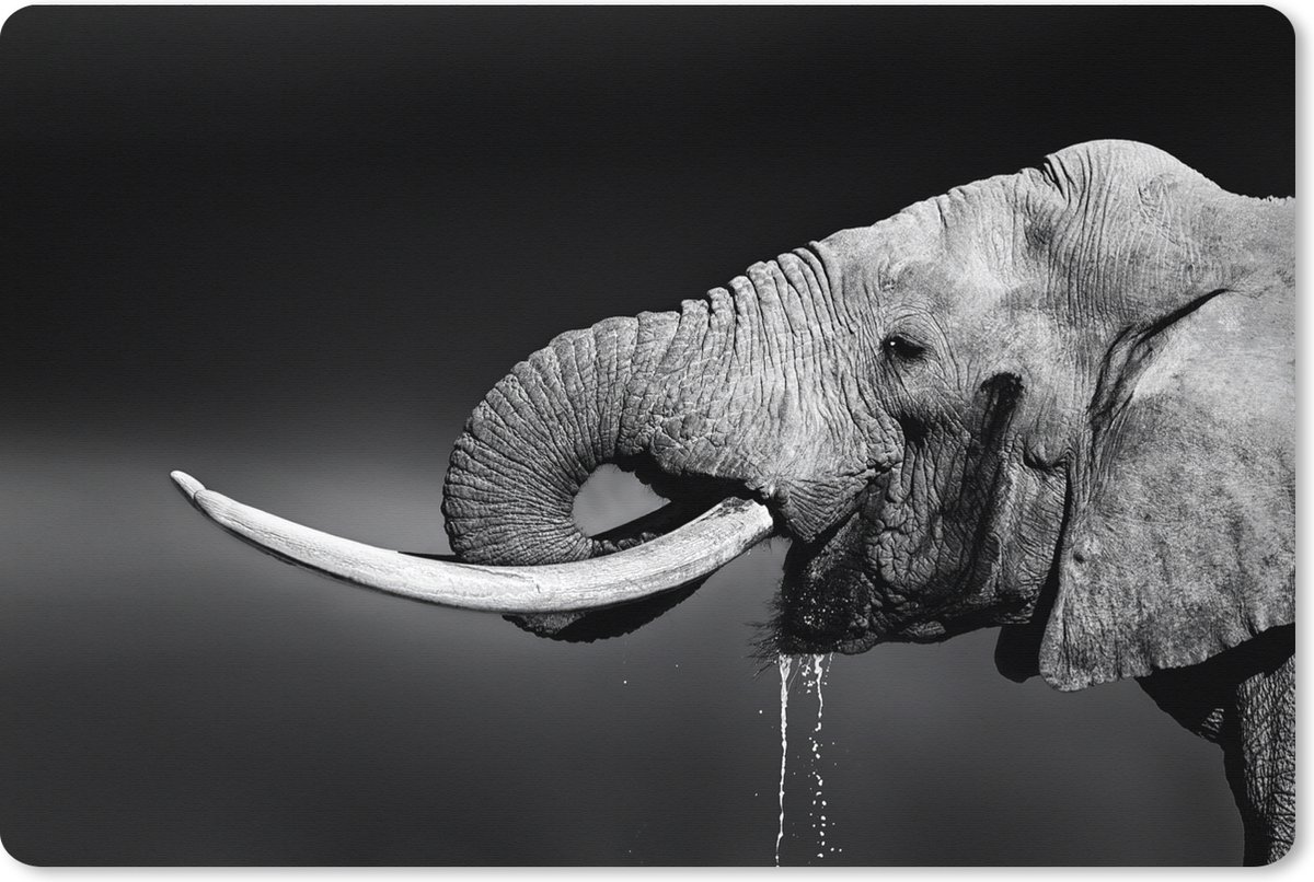 Muismat XXL 90x60 cm - Bureau onderlegger - Bureau mat Olifant - Water - Zwart - Wit - Bureaumat - Gaming mousepad xl - Bureaulegger groot - Computer deskmat