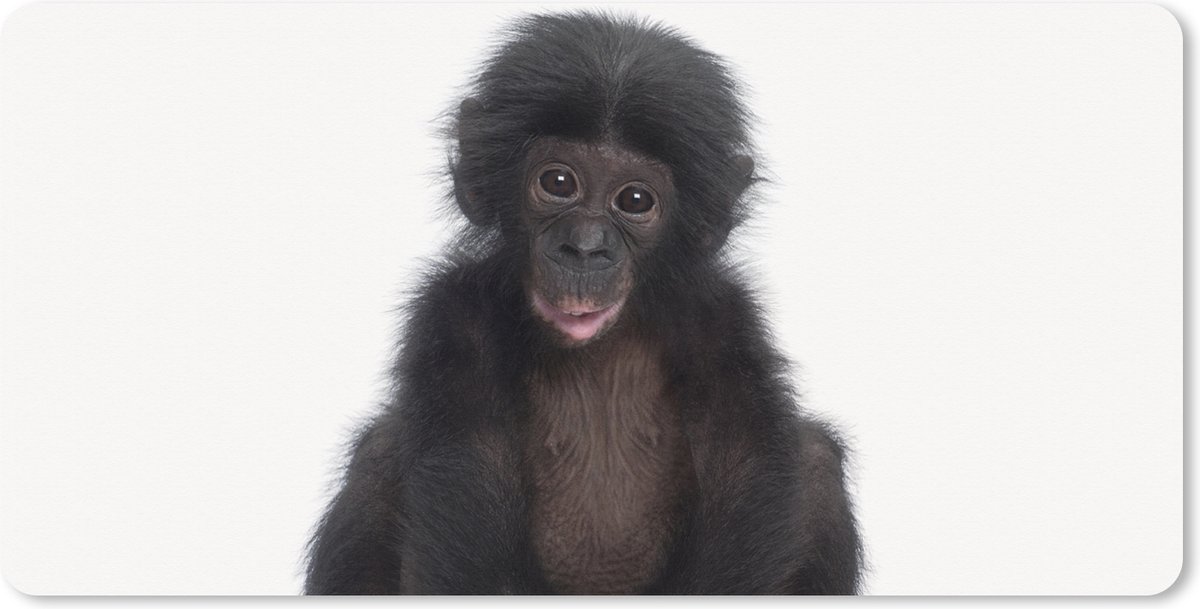 Muismat XXL 100x50 cm - Bureau onderlegger - Bureau mat Kind - Aap - Chimpansee - Baby dieren - Jongens - Meiden - Bureaumat - Gaming mousepad xl - Bureaulegger groot - Computer deskmat