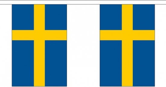 Buiten vlaggenlijn Zweden - 300 cm - slinger