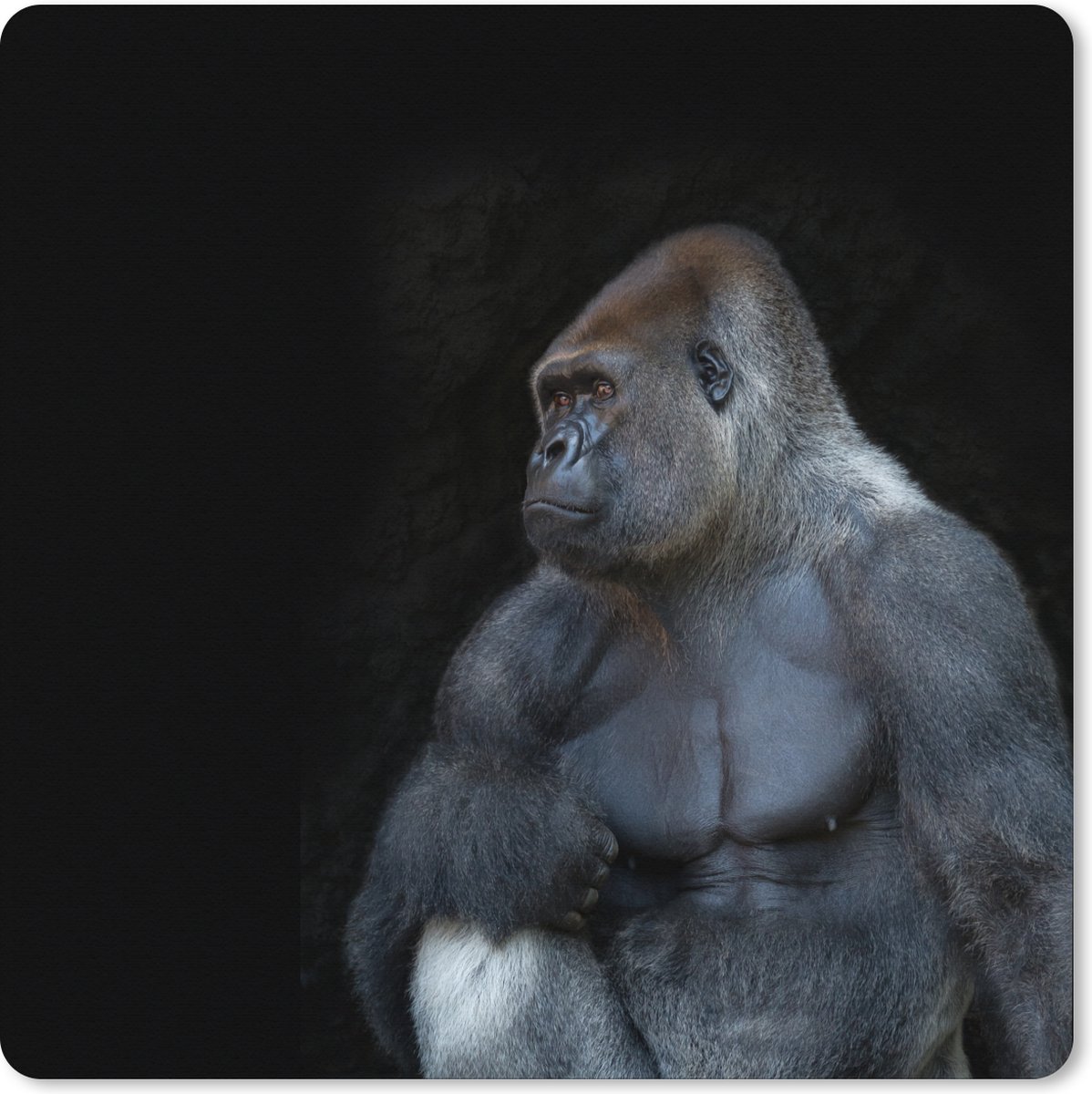 Muismat XXL 80x80 cm - Bureau onderlegger - Bureau mat Een gespierde Gorilla op een zwarte achtergrond - Bureaumat - Gaming mousepad xl - Bureaulegger groot - Computer deskmat