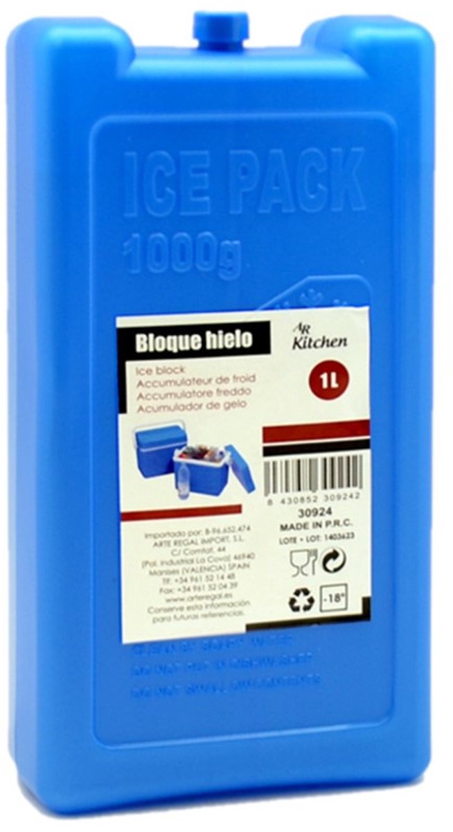 Arte R Koelelementen - Set van 6x stuks - groot blok - 1000 ml - 11 x 5 x 22 cm - blauw - voor koeltas en koelbox — afbeelding 4