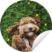 Tuincirkel Puppy ligt in het gras - 60x60 cm - Ronde Tuinposter - Buiten