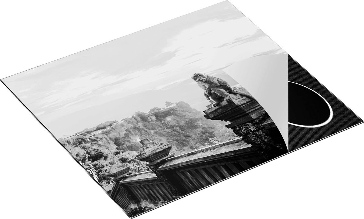 Chefcare Inductie Beschermer Aap op de Uluwatu Tempel in Bali - Zwart Wit - 60x50 cm - Afdekplaat Inductie - Kookplaat Beschermer - Inductie Mat